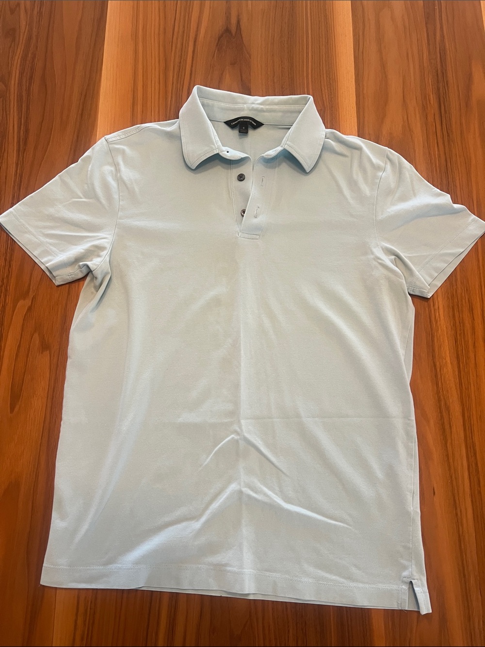Express Light Blue Men's Polo Shirt